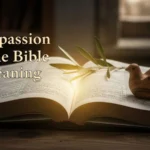 Compassion in the Bible Meaning