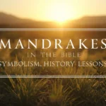 Mandrakes in the Bible Meaning