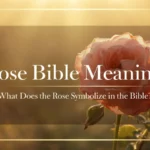 Rose bible meaning