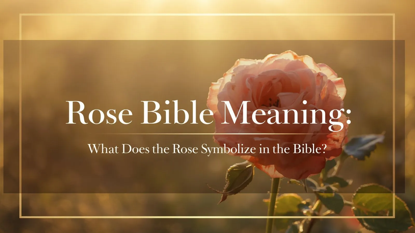 Rose bible meaning