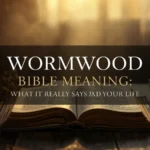 Wormwood Bible Meaning