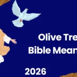 Olive Tree Bible Meaning