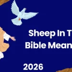 Sheep in the Bible Meaning
