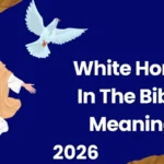 White Horse in the Bible Meaning