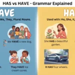 Has vs Have