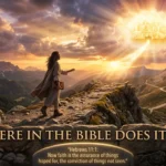 Where in the Bible Does It Say